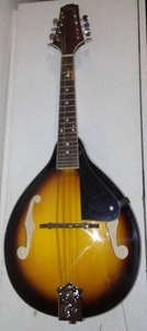 Johnson 8 String Mandolin With Soft Side Case.