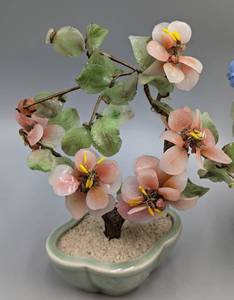 Pair of Ornamental Jade Trees