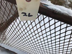 Metal Recycling Basket