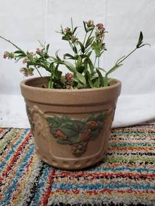 Painted Planter