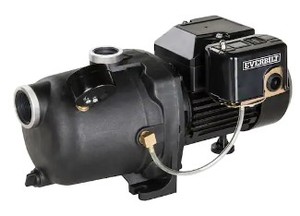 lot 14 image: Everbilt 34 HP Shallow Well Jet Pump, 1000026692 - SOLD AS IS