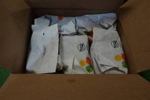 lot 75 image: 25 Lbs Nutro Small Breed Adult Dog Food