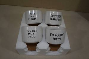 lot 160 image: Set of Four SucculentCactus Pots with Base