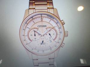 Citizen Mens Goldtone Stainless St...