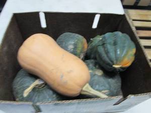 Box of Assorted Winter Squash...