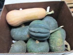 Box of Assorted Winter Squash...