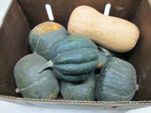 Box of Assorted Winter Squash...