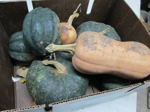 Box of Assorted Winter Squash...