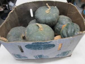 Box of Assorted Winter Squash...