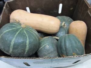 Box of Assorted Winter Squash...