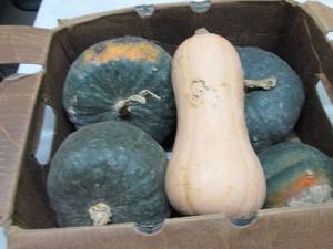 Box of Assorted Winter Squash...