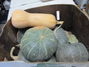 Box of Assorted Winter Squash...