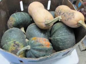 Box of Assorted Winter Squash...