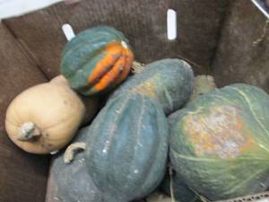 Box of Assorted Winter Squash...