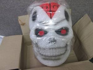 2 Skull Lamp Shades...