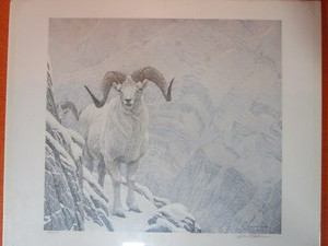 lot 5 image: Robert Bateman S&N Print 833950 White World-Dall Sheep