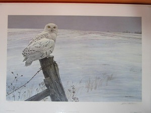 lot 6 image: Robert Bateman S&N Print 225950 Ready For The Hunt-Snowy Owl