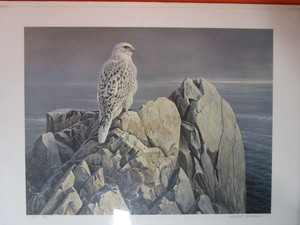 lot 9 image: Robert Bateman S&N Print (Artist Proof) 4356 Evening Light-White Gyrfalcon