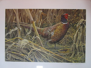 lot 10 image: Robert Bateman S&N Print 897950 Strutting-Ring Necked Pheasant