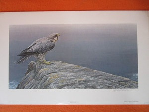 lot 11 image: Robert Bateman S&N Print 230950 Ready For Flight-Peregrine Falcon