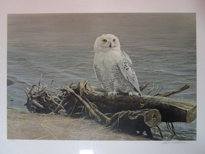 lot 12 image: Robert Bateman S&N Print 772950 Snowy Owl On Driftwood