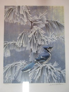 lot 13 image: Robert Bateman S&N Print 774950 Frosty Morning-Blue Jay