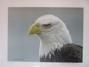 lot 14 image: Robert Bateman S&N Print 728950 Bald Eagle Portrait