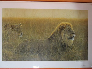 lot 16 image: Robert Bateman S&N Print 910950 Lions In The Grass