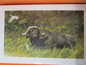lot 17 image: Robert Bateman S&N Print 879950 A Resting Place-Cape Buffalo