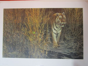 lot 18 image: Robert Bateman S&N Print 215950 Tiger At Dawn