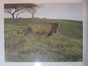 lot 20 image: Robert Bateman S&N Print (Artist Proof) 4456 Lion And Wildebeest