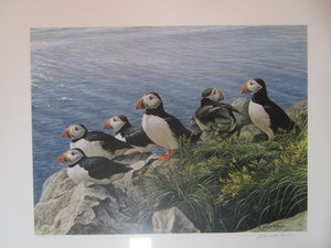 lot 21 image: Robert Bateman S&N Print 76950 Bright Day-Atlantic Puffins