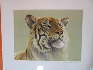 lot 23 image: Robert Bateman S&N Print 160950 Tiger Portrait