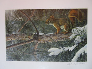 lot 24 image: Robert Bateman S&N Print 216950 Red Squirrel
