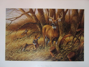lot 27 image: Rosemary Millette S&N Print 4672663 Rustic Retreat-Whitetail Deer