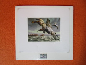 lot 34 image: David A. Maass S&N Print 671222250 1982-82 Federal Migratory Bird Hunting & Conservation Stamp