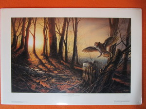 lot 53 image: Terry Redlin S&N Print (Artist Proof) 796 Silent Flight
