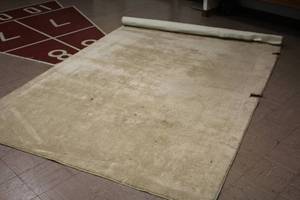 lot 1010 image: Area Rug 8x5
