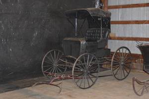 Horse Drawn Carriage Buggy with harness