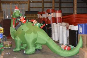 12 Brontosaurus