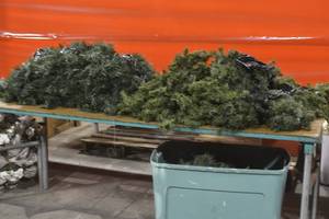 Table top contents and box of tree garland