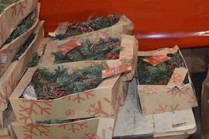 7 boxes of 6 berry and pine cone garland