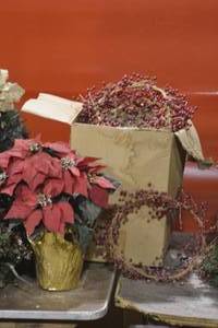 Box full of 12 berry and twig wreath and a poinsettia