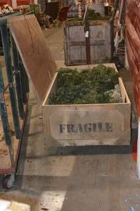 Small Wooden Crate of Christmas Trees