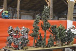 Tabletop Contents of Various Trees