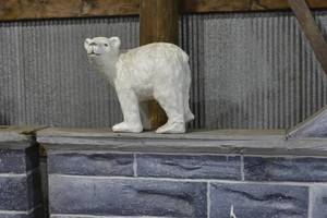 24 polar bear