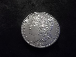 1896 Morgan Silver Dollar