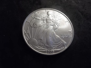 2005 US Silver Eagle Dollar 1 Oz. 99.0 Fine MS From Unc Roll