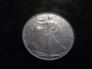 2005 US Silver Eagle Dollar 1 Oz. 99.0 Fine MS From Unc Roll