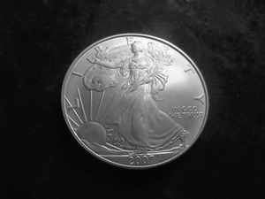 2007 US Silver Eagle Dollar 1 Oz. 99.0 Fine MS From Unc Roll
